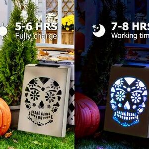 NIB SOLAR RGB METAL DAY OF DEAD SUGAR SKULL WALL LIGHT RGB CHRISTMAS LIGHTS